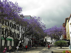 novobanco Funchal/ Sé