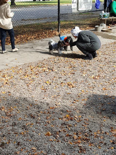 Dog Park «South Boston Bark Park», reviews and photos, 1280 Columbia Rd, Boston, MA 02127, USA