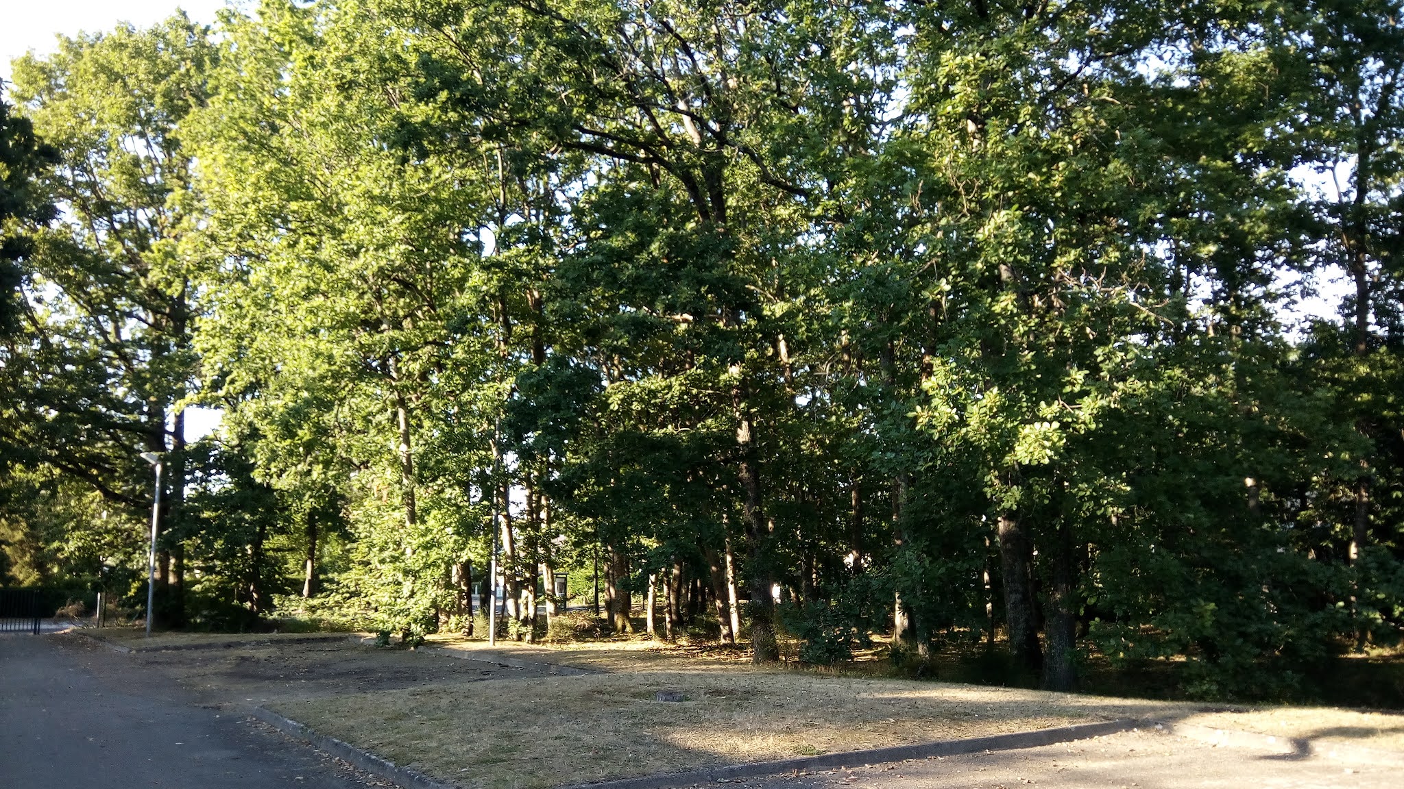 Photo n° 4 de l'avis de Bernard.A fait le 12/09/2021 à 17:47