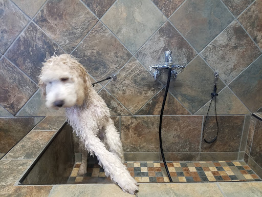 Pet Supply Store «Pet Valu», reviews and photos, 8249 Chippewa Rd, Brecksville, OH 44141, USA