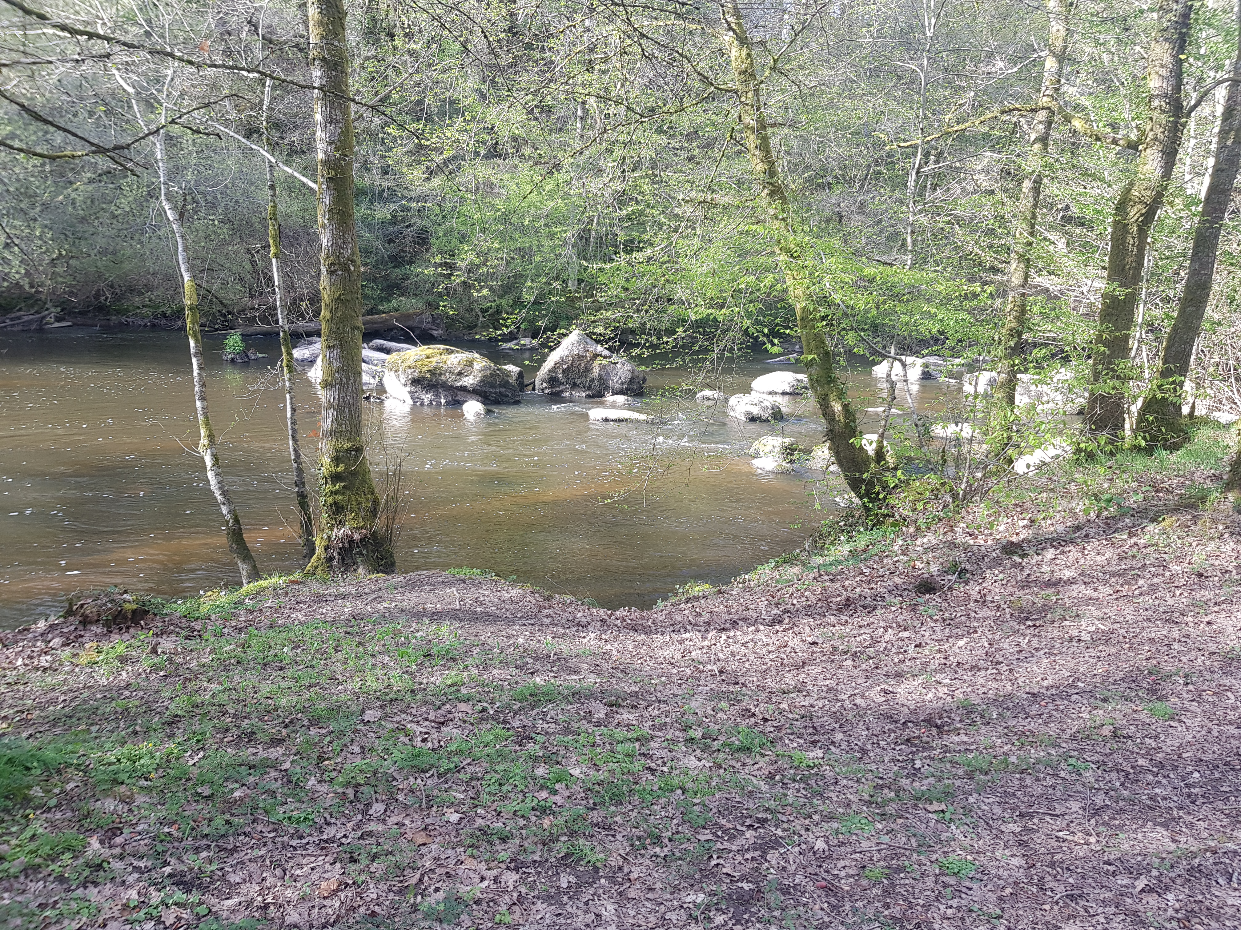 Photo n° 3 de l'avis de zaz.o fait le 24/04/2019 à 04:46