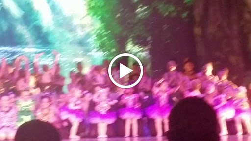 Performing Arts Theater «The Franklin Performing Arts Center», reviews and photos, 2600 Cumberland Dr, Franklin, IN 46131, USA