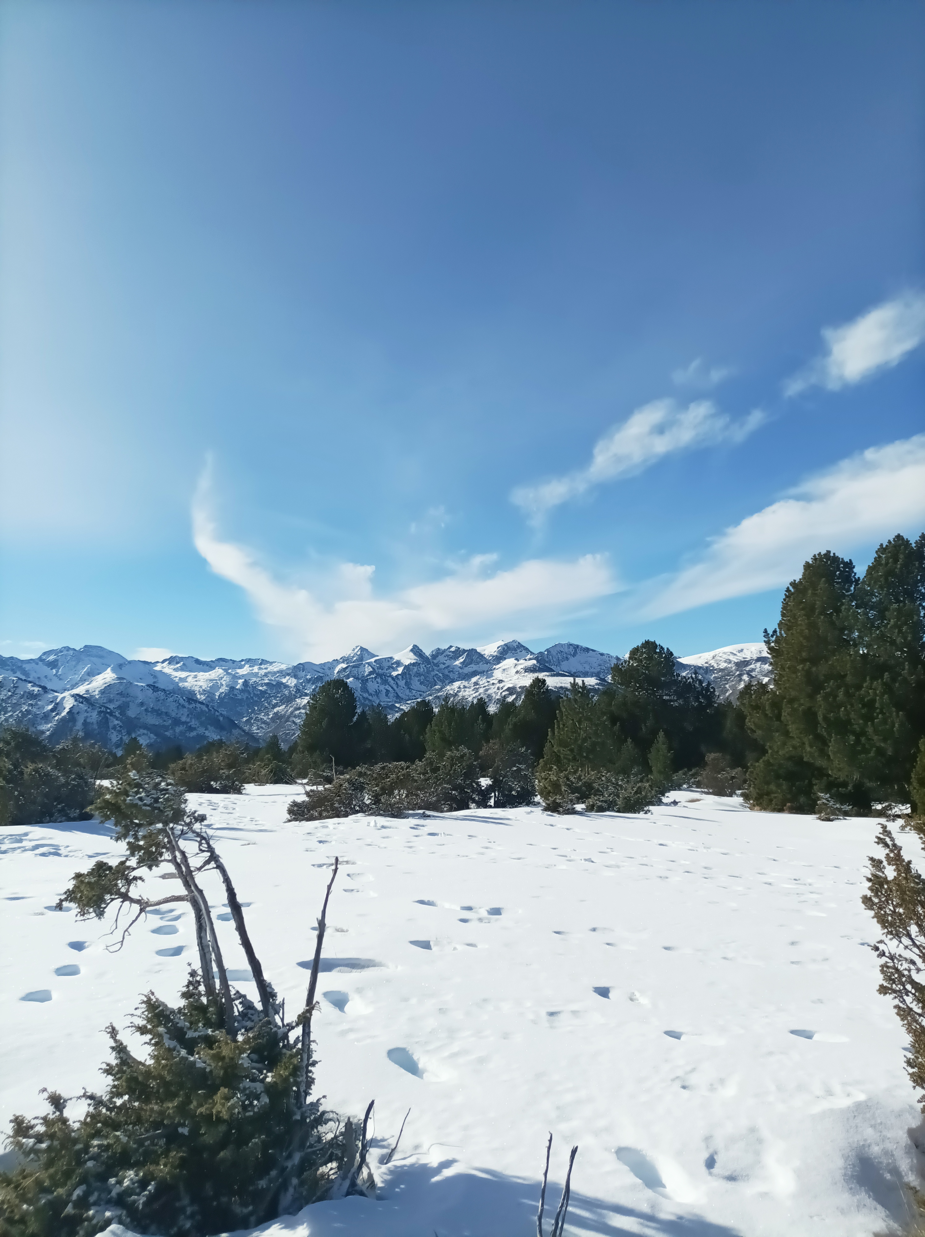 Photo n° 5 de l'avis de France.O fait le 13/01/2024 à 06:09