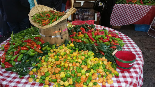 Recreation Center «Historic Arkansas Riverwalk», reviews and photos, 101 S Union Ave, Pueblo, CO 81003, USA