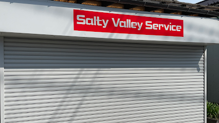 Salty Valley Service