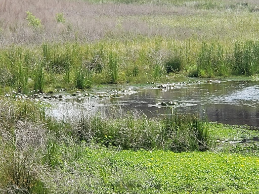 Golf Course «Fort Jackson Golf Club», reviews and photos, 3652 Semmes Rd, Fort Jackson, SC 29072, USA