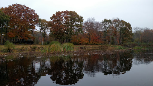 Park «Eisenhower Park», reviews and photos, 780 North St, Milford, CT 06461, USA