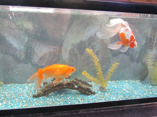 General Store «Pick & Shovel», reviews and photos, 54 Coventry St, Newport, VT 05855, USA