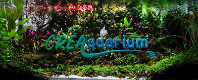 CréAquarium à Garéoult