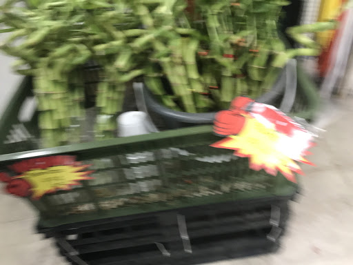 Discount Store «Viva Bargain», reviews and photos, 12220 Harbor Blvd, Garden Grove, CA 92840, USA