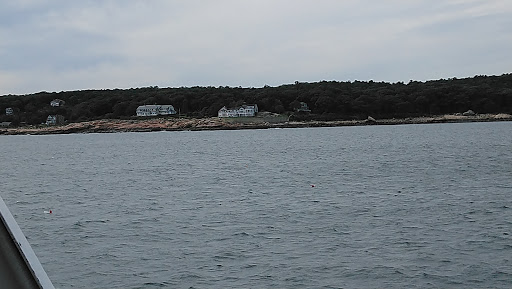 Cruise Agency «Capt. Bill & Sons Whale Watch», reviews and photos, 24 Harbor Loop, Gloucester, MA 01930, USA