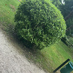 Photo n°18 de l'avis de Eugenio.o fait le 22/04/2024 à 17:46 sur le  Bar Lux - Ristorante à Vittorio Veneto