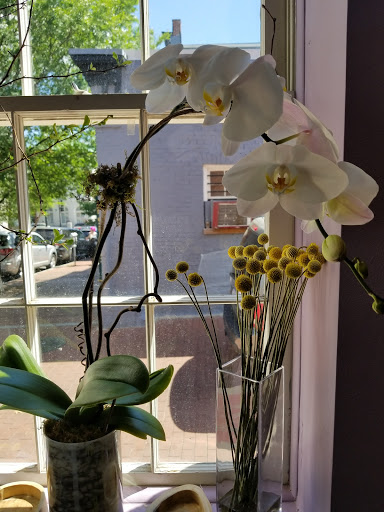 Florist «Ultra Violet Flowers», reviews and photos, 1218 31st St NW, Washington, DC 20007, USA