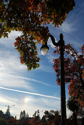 Cafe «Acre Coffee», reviews and photos, 21 4th St, Petaluma, CA 94952, USA