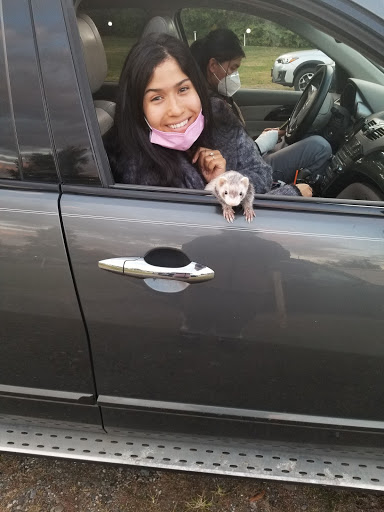 Drive-in Movie Theater «Overlook Drive-In Theatre», reviews and photos, 126 De Garmo Rd, Poughkeepsie, NY 12601, USA