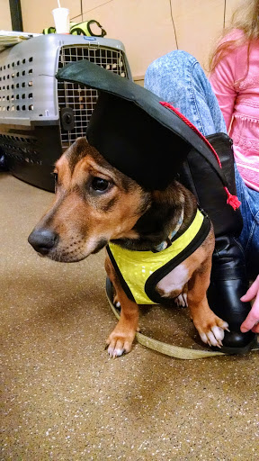 Pet Supply Store «PetSmart», reviews and photos, 3096 N Eastman Rd, Longview, TX 75605, USA