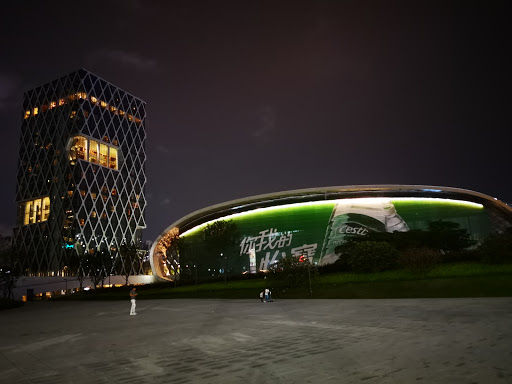 Shenzhen Bay Sports Center Stadium