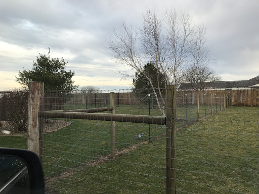 Quarter C Pet Resort