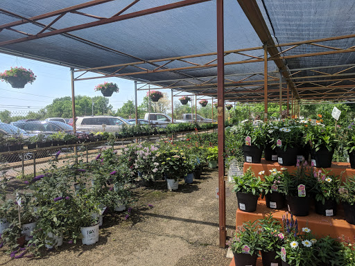 Stockslagers Greenhouse and Garden Center