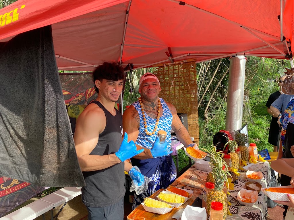 Pineapple tent 96795