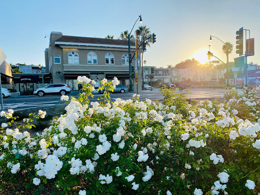 Clothing Store «Patagonia Cardiff-by-The-Sea», reviews and photos, 2185 San Elijo Ave, Cardiff, CA 92007, USA