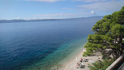 Punta beach'in fotoğrafı çok temiz temizlik seviyesi ile