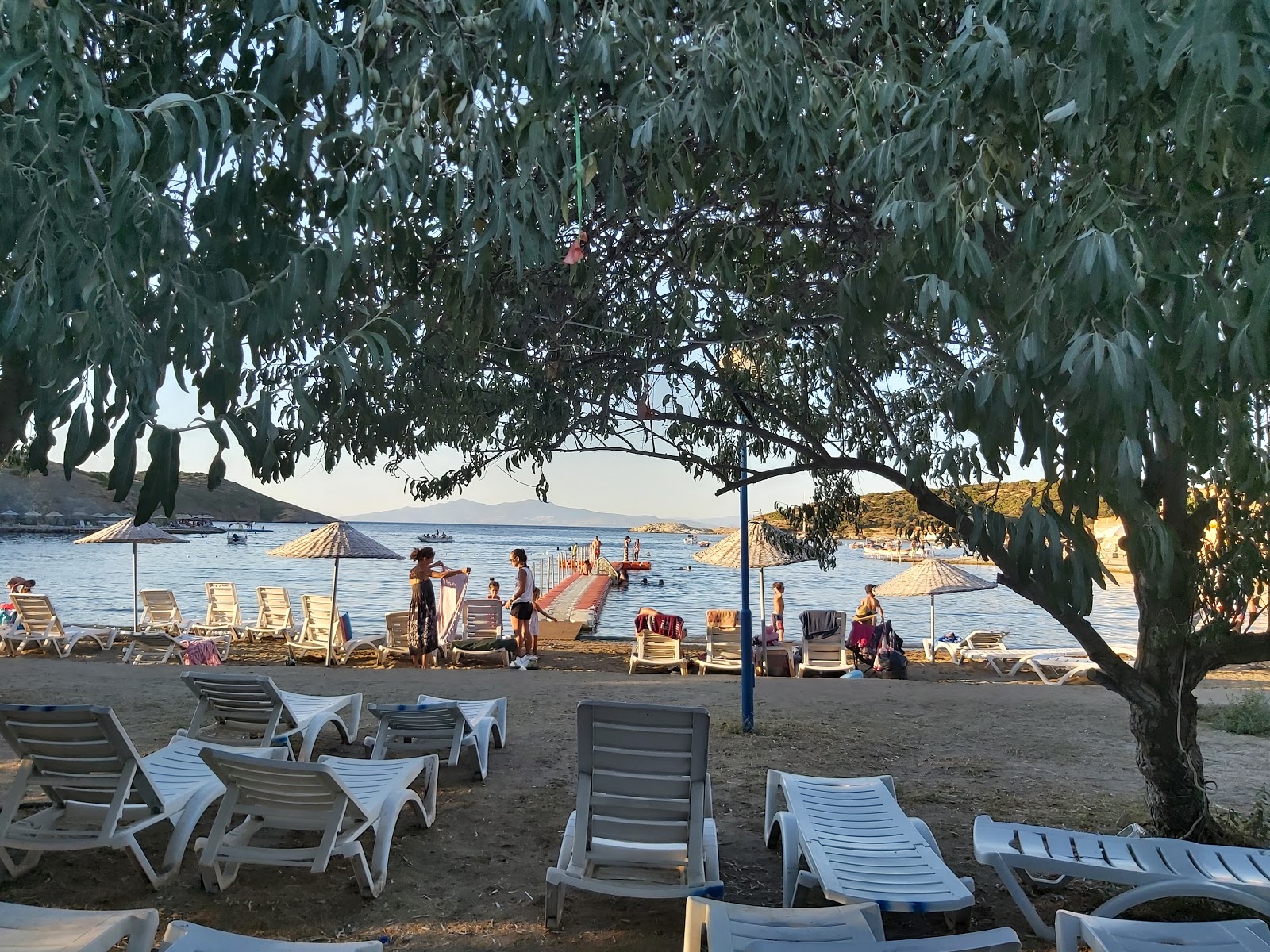 Fotas Tatil Koyu photo #7