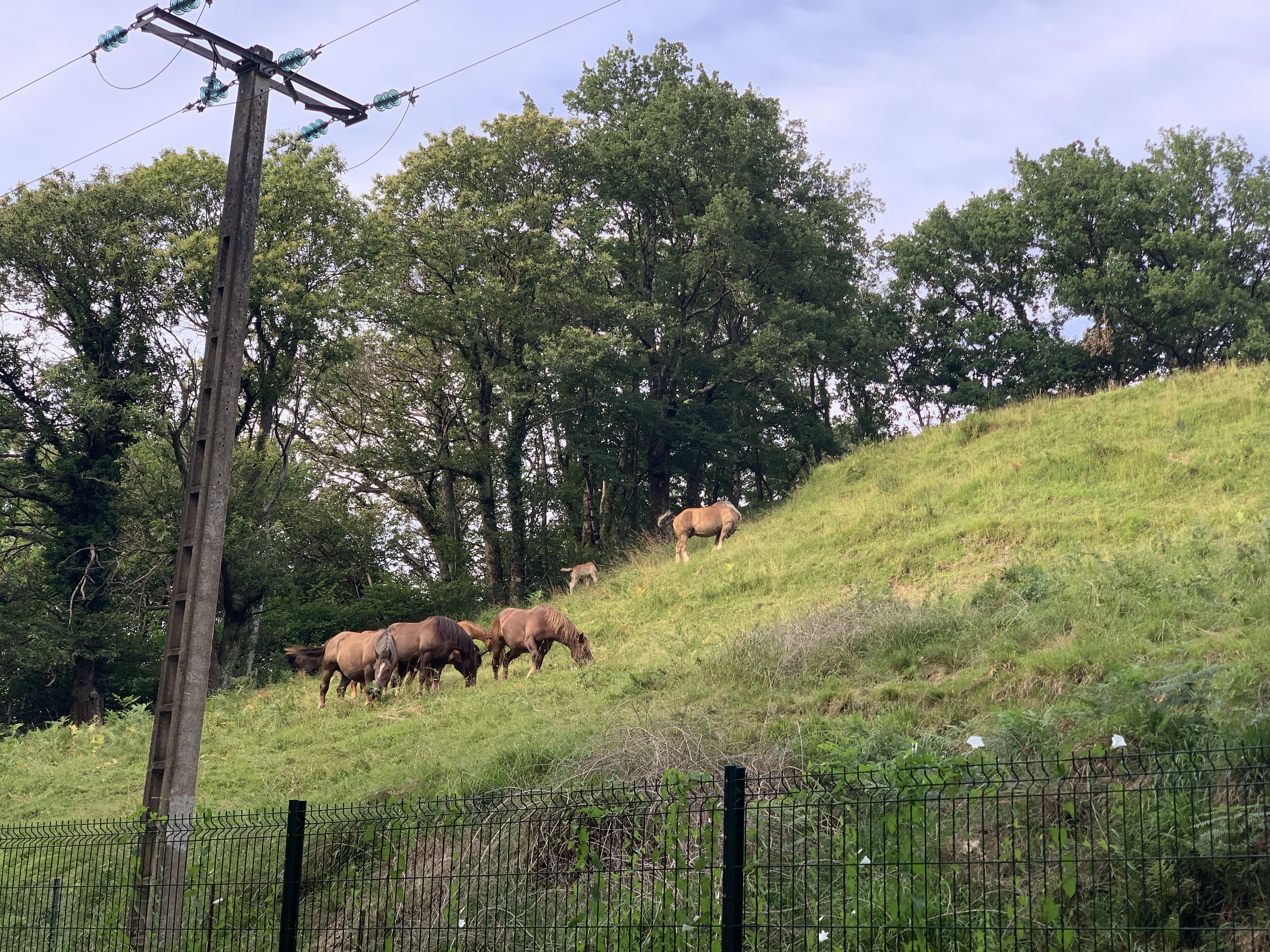 Photo n° 20 de l'avis de Alina.o fait le 11/07/2019 à 00:46