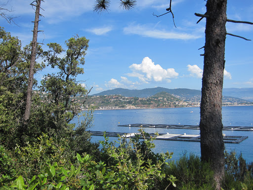 Entertainment «Fremont Street Experience», reviews and photos, Fremont St, Las Vegas, NV 89101, USA