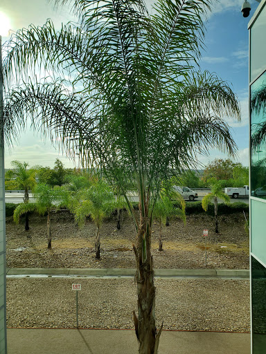 Insurance Agency «GEICO Corporate Office», reviews and photos