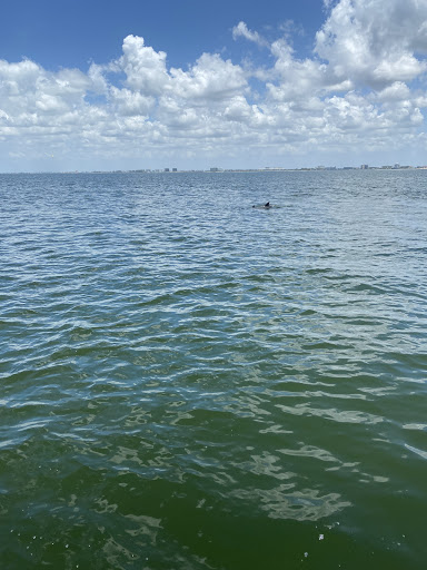 Boat Tour Agency «Adventure Cruises Inc», reviews and photos, 5500 Gulf Blvd, St Pete Beach, FL 33706, USA