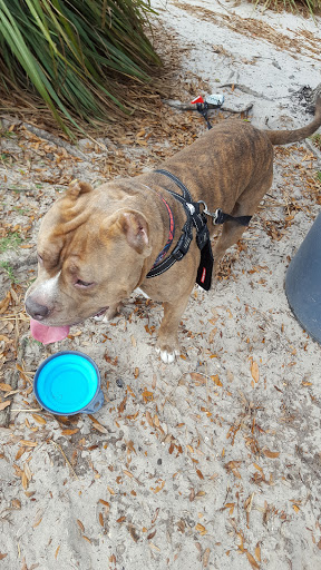 Canoe & Kayak Rental Service «Wekiva Island», reviews and photos, 1014 Miami Springs Dr, Longwood, FL 32779, USA