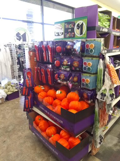 Dollar Store «Dollar Tree», reviews and photos, 1312 Woodward Ave, Muscle Shoals, AL 35661, USA