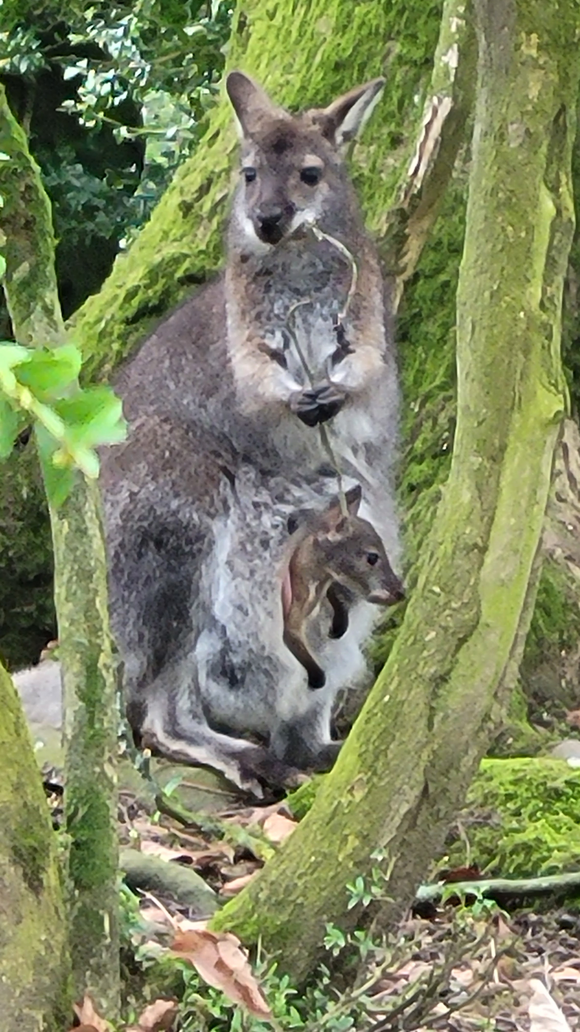 Photo n° 1 de l'avis de Pascal.i fait le 23/03/2023 à 21:02