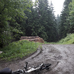 Photo n°5 de l'avis de Mone.e fait le 21/06/2017 à 20:19 sur le  Pension Alscher à Goslar