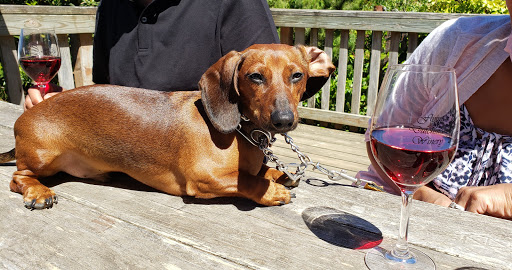 Winery «Flying Dutchman Winery», reviews and photos, 915 1st St, Otter Rock, OR 97369, USA