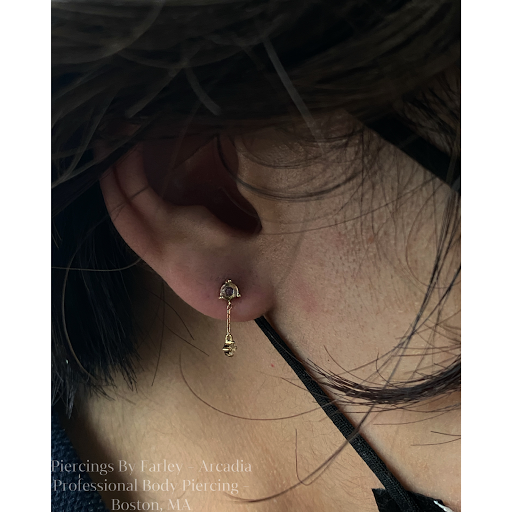 Explore bird cage tattoo ideas, creative tattoo ideas in Boston, available at Arcadia Body Piercing