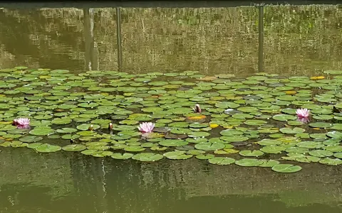 Parc de Vallparadís image