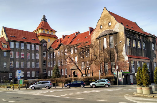 Faculty of Natural Sciences, University of Silesia in Katowice