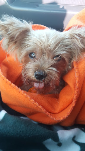 Pet Supply Store «PetSmart», reviews and photos, 400 Mill Creek Dr, Secaucus, NJ 07094, USA