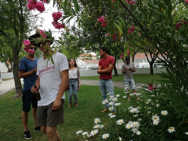 Parque Infantil - Salvaterra de Magos