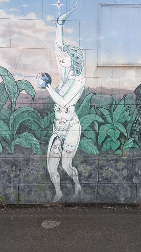 Tobacco Shop «Hunky Dory Pipe & Tobacco», reviews and photos, 271 W 7th Ave, Eugene, OR 97401, USA