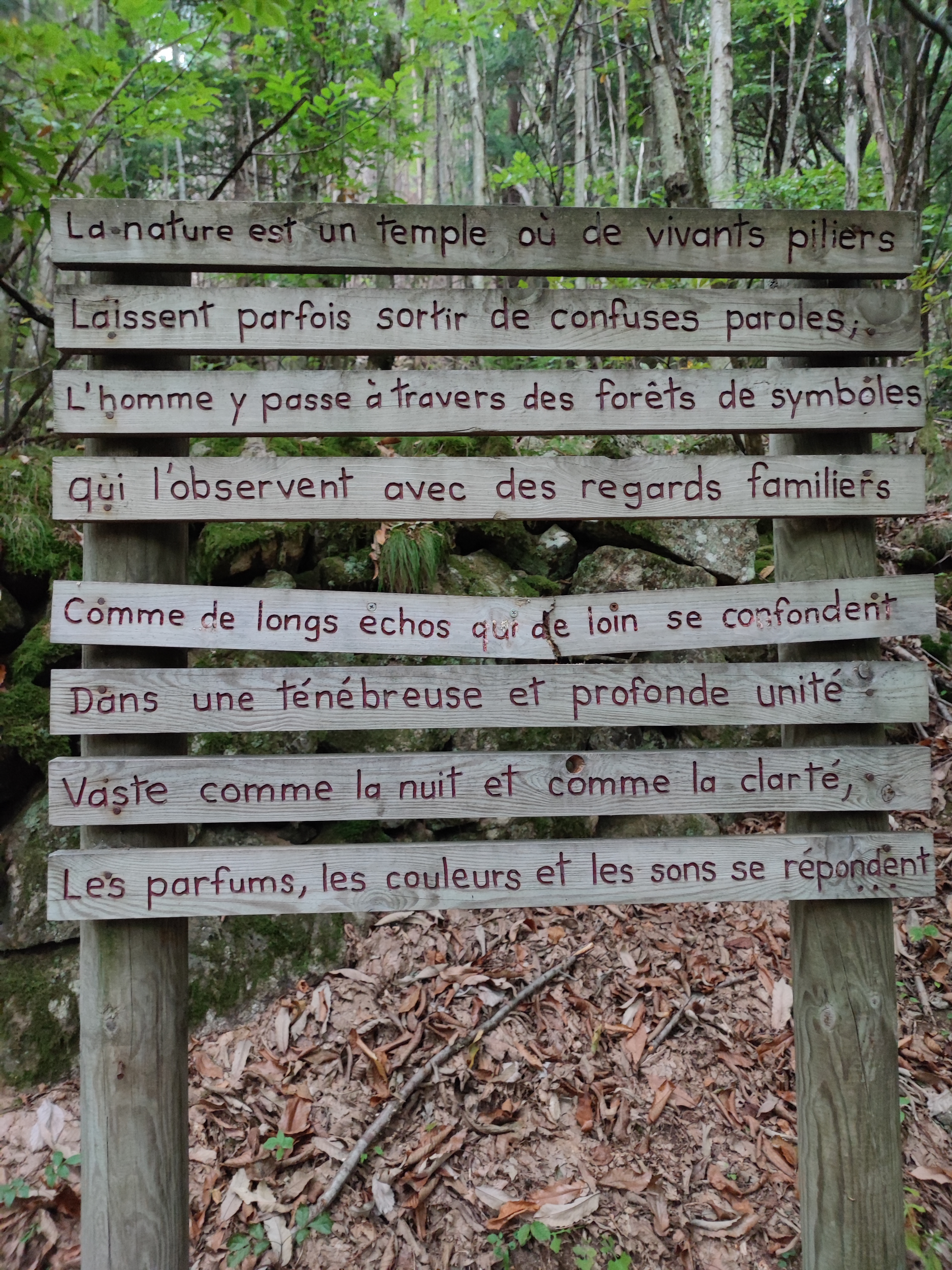 Photo n° 7 de l'avis de cyril.h fait le 16/07/2018 à 12:01