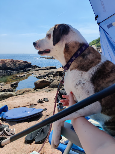 Park «Rafes Chasm Park», reviews and photos, 138 Hesperus Ave, Gloucester, MA 01930, USA