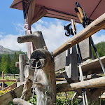 Photo n°3 de l'avis de Lorenzo.a fait le 24/07/2020 à 15:27 sur le  Malga Valparola à Livinallongo del Col di Lana