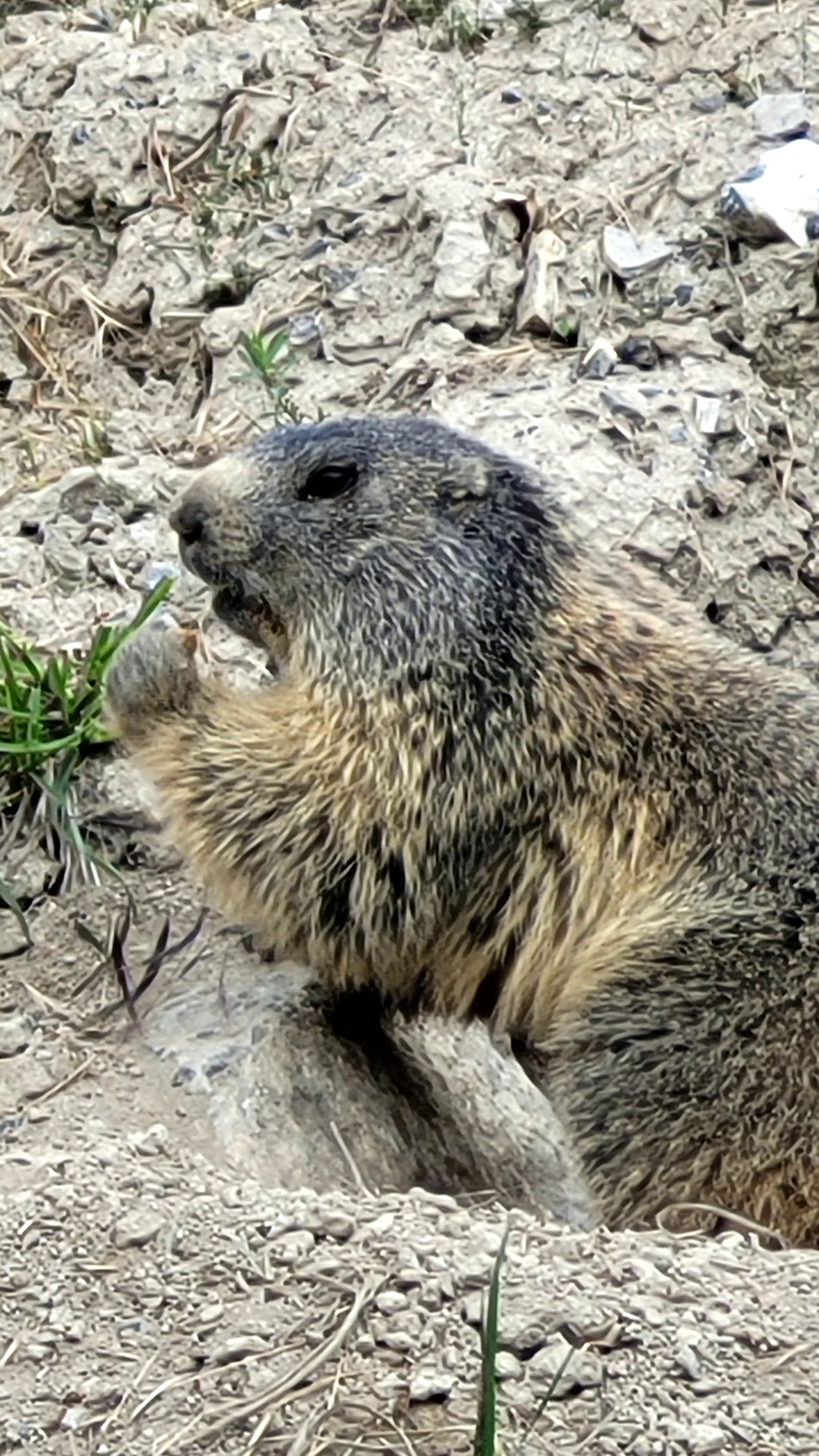 Photo n° 47 de l'avis de PASSIONS.O fait le 24/05/2023 à 09:56