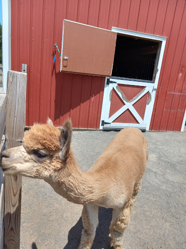 Gift Shop «Hidden Spring Lavender Farm and Gift Shoppe», reviews and photos, 890 Belle Mead-Blawenburg Rd, Skillman, NJ 08558, USA