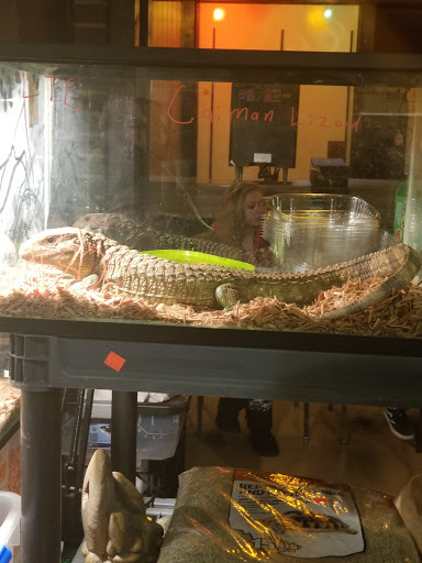 Reptile Store «Cleveland Reptile Show», reviews and photos, 17250 Hummel Rd, Brook Park, OH 44142, USA