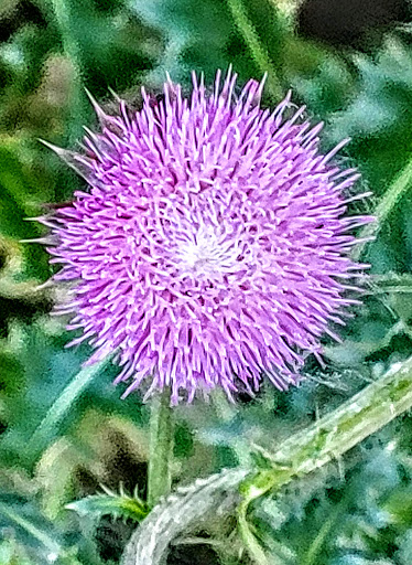 Park «Water Works Park», reviews and photos, 2201 George Flagg Pkwy, Des Moines, IA 50321, USA