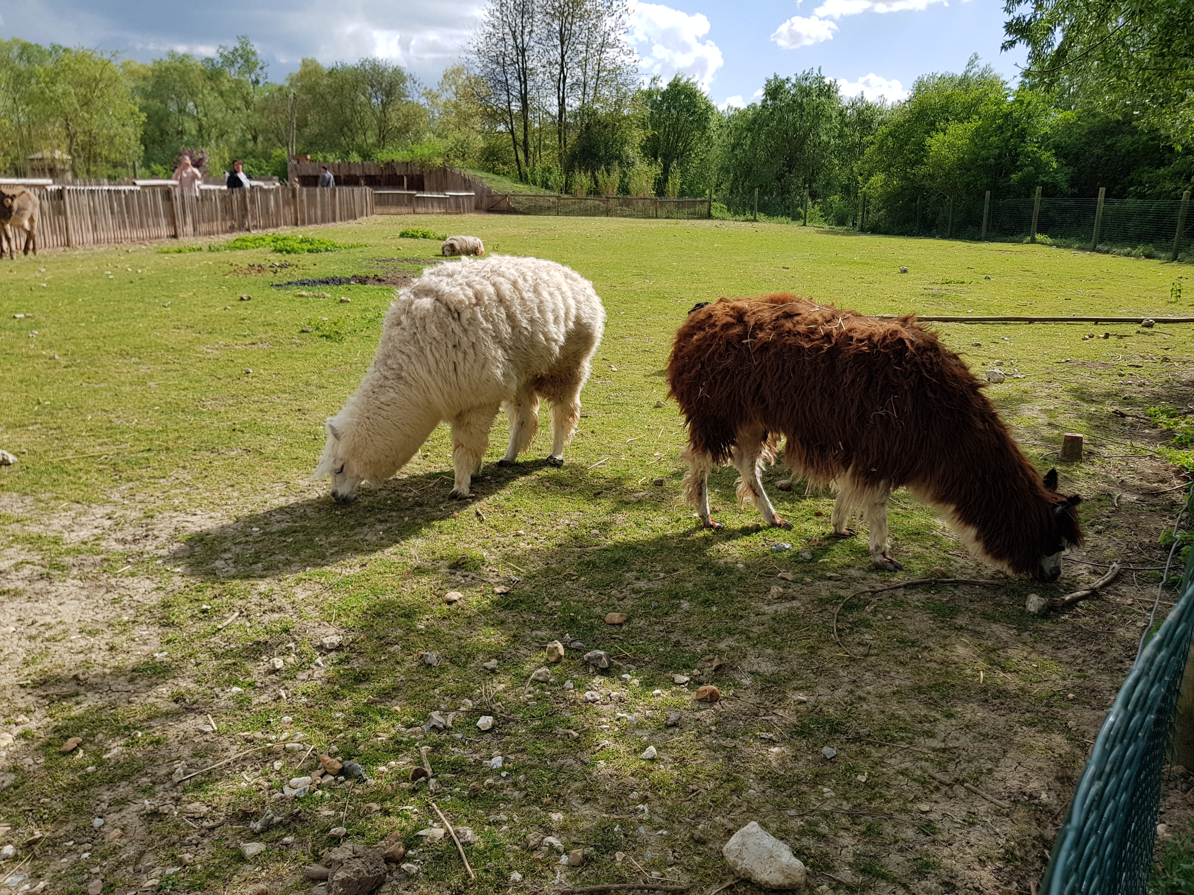 Photo n° 2 de l'avis de Tristan.u fait le 10/05/2018 à 07:04